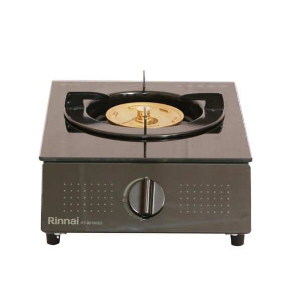 RT-901M Single Burner Glass Cooker